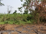 46918CIMG3255.JPG