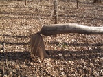 8612IMG_1237.JPG