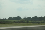 2024-10-10_16-56-17_2C4ACFAB-CCBC-4430-B03D-E35963989A7B.jpeg