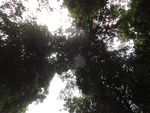 46843DSC02182.JPG