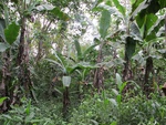 29555IMG_5187.JPG