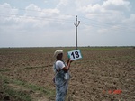 12692018c-irrigated-canal-rice-single-crop.gif