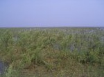 1385R0015142_small.jpg
