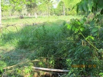 29973IMG_5373.JPG