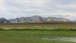 34032CIMG2210.JPG