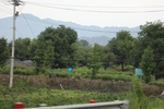 2024-08-05_16-24-37_4D2B1B32-1CE5-45BA-8A1B-E34C71FFB45B.jpeg
