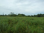 55120Berau (436).JPG