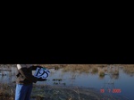 10792gt-195-wetland-valley-bottom-peat-swamp-03.jpg