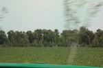 2024-08-05_15-52-15_3C2879B1-E750-4963-BB9F-76C66C85AC1B.jpeg