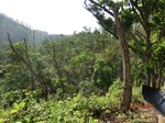 53300CIMG6571.JPG