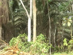 48219CIMG4556.JPG