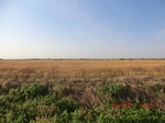 29758CIMG1090.JPG