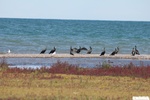 26823IMG_3233.JPG