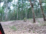 50635CIMG1264.JPG