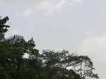 47906CIMG4243.JPG