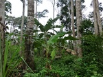 45986CIMG0275.JPG