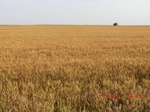 29748CIMG1072.JPG