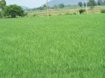 17584100_2521.JPG
