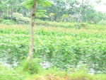 30956CIMG0817.JPG