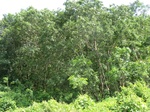 34810CIMG1459.JPG