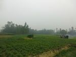 40117CIMG9183.JPG