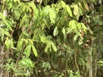 48220CIMG4557.JPG