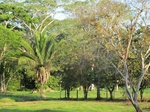 31918IMG_5707.JPG
