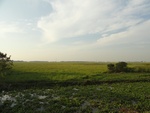 26105DSC01132.JPG