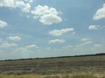 35986DSC02256.JPG