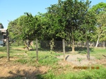 31890IMG_5430.JPG