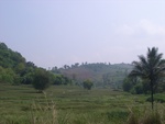 28194RIMG0183.JPG
