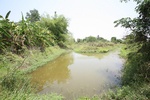 43663pic1.jpg