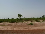 18977P1000821.JPG
