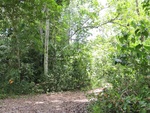 29559IMG_5202.JPG