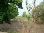 17467100_2156.JPG