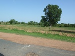 19343P1010189.JPG