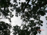 53375CIMG6673.JPG
