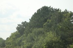 2024-10-10_17-12-21_AA7D5A04-9CDC-4314-A78D-6D9AE6B8E542.jpeg