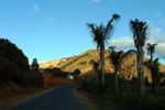 28592P1010609-1.JPG