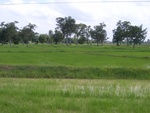 33445RIMG0185.JPG