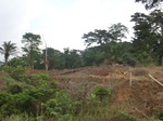 49846CIMG6183.JPG