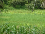 18760P1000598.JPG