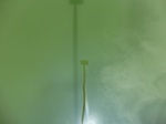 58381CIMG2830.JPG
