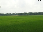 24597DSC00815.JPG