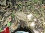 18257P1000093.JPG