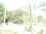 21886DSC08480.JPG