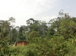 49730CIMG6067.JPG
