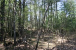 185IMG_4081.JPG