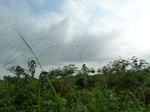 20372P1020229.JPG