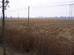 3222R0017256.JPG